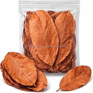 Hojas de Almendro Indio Silvestre (Terminilia Catappa) de Atlantic Beach, 32 Hojas, Grado Alimenticio, para Té - Product Image 1