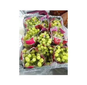 Sabor dulce y delicioso Venta a granel de alta calidad Fruta fresca Uvas Verdes/Uvas Rojas/Uvas negras a precio mayorista