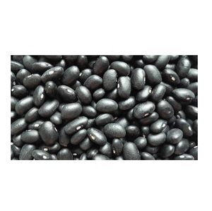 Frijoles negros naturales a la venta a bajo precio Pedidos al por mayor Bienvenidos para cocinar enlatado y suministro del mercado de exportación global - Product Image 6