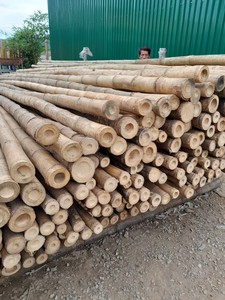 Poteau en bambou 99GD écologique du Vietnam pour la décoration de jardin extérieur - Diamètre 6-60 mm, longueur 30-600 cm, prix abordable pour l'exportation - Product Image 5