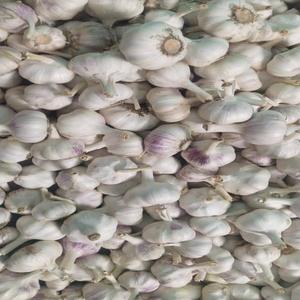 ถุงตาข่ายใส่กระเทียมสีขาว0.2กก. ใช้ในอุตสาหกรรมอาหารราคาส่งจากเดนมาร์ก - Product Image 5