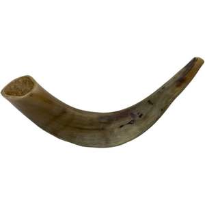 Shofar authentique en corne de buffle naturelle, artisanat métallique fait à la main pour les rassemblements spirituels, utilisation au temple, décoration de cuisine - Écologique - Product Image 4