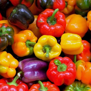 Fresh Red and Yellow Bell Pepper Best Capsicum Bell Pepper Red Green Yellow Dice 100% Organic Pepper - Product Image 5