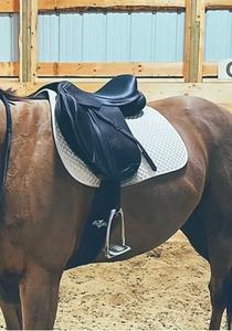 Sillín de doma ligero Freemax Para Caballo inglés Material Cordura de estilo occidental con cuero sintético sin árboles SS - Product Image 3