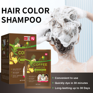 PLOG Shampoo Colorante Istantaneo 20ml - Caffè, Formula allo Zenzero Vegetale Senza Irritazioni Personalizzabile OEM - Product Image 6