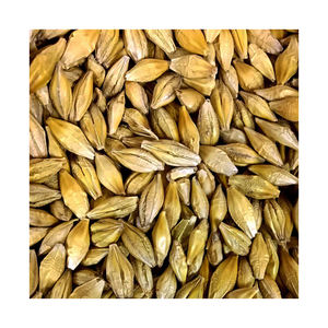 Approvisionnement en gros de grains d'orge à des prix d'usine compétitifs - Product Image 2
