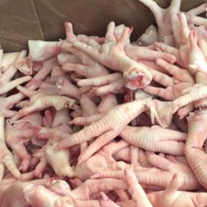 ตีนไก่ / ตีนไก่แช่แข็งจากบราซิล / ปีกไก่และเท้าไก่สด พร้อมส่งออก - Product Image 1