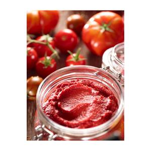 Pasta de Tomate Concentrada en Lata Gino Easy Open, Precio al por Mayor, 70g, Estándares de Omán, 100% Pureza - Product Image 4