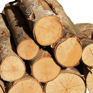 Bois de chauffage séché de qualité/bois de chauffage de chêne - Product Image 1