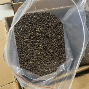 2025ขายดี | เมล็ดมะละกอแห้งผู้หญิงแดงจากเวียดนาม | สินค้าเกษตรธรรมชาติ - Product Image 5