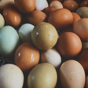 Œufs de poule frais de qualité standard à vendre à prix avantageux auprès d'un fournisseur en gros, œufs de table pour l'exportation - Product Image 5