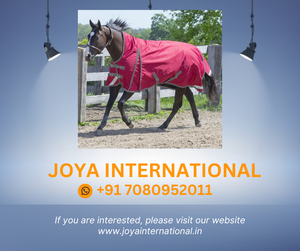 Indian Horsewear <span class=keywords><strong>Habanera</strong></span> affluenza 300gm smart - Product Image 2