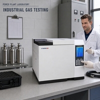 Chromatographe de détection de gaz hydrogène, oxygène, azote, méthane, monoxyde de carbone YX-9100C, analyseur de gaz de charbon, instrument de test de laboratoire