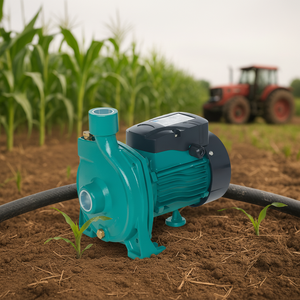 Bomba de Agua Centrífuga de Superficie de Baja Presión de Agua, Monofásica, de 1 HP, Modelo Snow Flake TGA1A, para Uso Comercial OEM, Brida 1 - Product Image 5