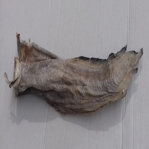 Norwegian Stockfish | Seafood From Norway | Dried <strong>Cod</strong> <strong>Fish</strong> Caught From the Coast . - Product Image 5