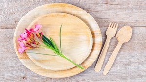 Assiettes à dîner jetables en feuille d'areca de qualité supérieure Plats jetables naturels écologiques pour les mariages Fêtes Économiques - Product Image 6