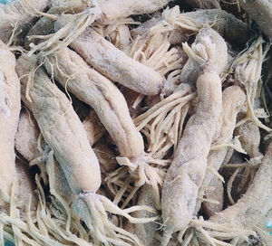 Radis Daikon Salé en Vrac OEM – Radis Salé Conservé pour Restaurants, Usines et Distributeurs - Product Image 1