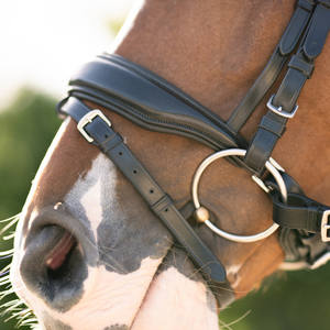 Bride en cuir italien robuste et de qualité supérieure Made in Italy Smart Halters - Product Image 2