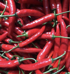 Fresh Finger Chili Peppers para condimentos culinarios y suministro de exportación, origen Vietnam - Product Image 3