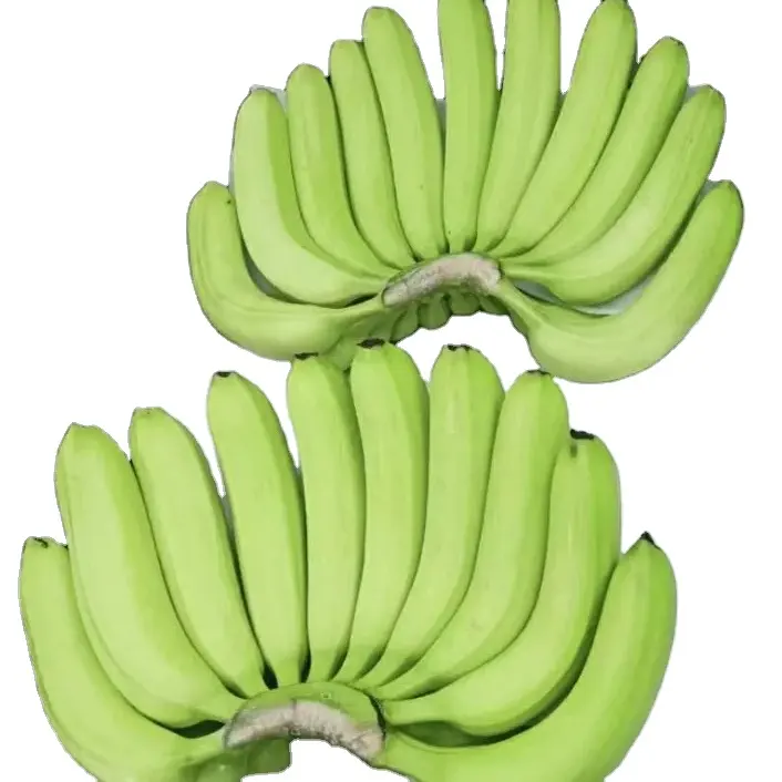 Wholesale banana green banana fresh cavendish banana natural color sweet taste wholesale tropical fruit at Competitive Price