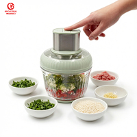 Meilleur hachoir à aliments miniature en acier inoxydable bon marché du fabricant, 2l 3l, hachoir de cuisine, hachoir à viande électrique, usage domestique