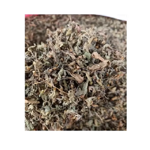 Hojas de Tulsi (Holy Basil) de Alta Calidad para Té, Semillas de Tulsi, Marca Privada, Té Herbal de Tulsi, Bueno para la Salud - Product Image 2