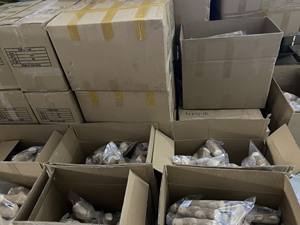 Mordedor de madera de café NATURAL para perro, Ms, Nancy + 84, 91, 850, 9071 - Product Image 4