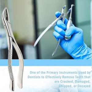 Pince d'extraction de dents en acier inoxydable Instruments dentaires Pince dentaire à motif américain Pince d'extraction dentaire - Product Image 2