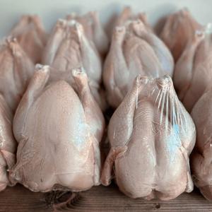 Poulet entier et morceaux de poulet halal de qualité supérieure surgelés - Product Image 1