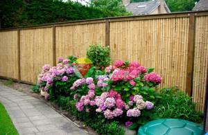 Tubes en bambou fabriqués au Vietnam à partir de 99D, adaptés à une utilisation intérieure et extérieure, avec une surface lisse et une structure naturelle solide. - Product Image 5