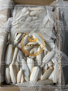 Approvisionnement en gros, origine du Vietnam, prix de gros, os de seiche séchés - Product Image 2