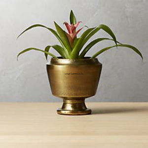 Maceta y macetas de flores de Metal de forma y tamaño personalizados de latón puro, decoración de jardín, maceta y macetas de flores de interior, precio bajo - Product Image 2