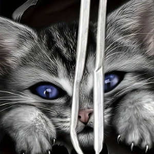 Fabricant OEM de sweats à capuche pour hommes imprimés par sublimation avec tissu en molleton de qualité supérieure, sweats à capuche respirants pour hommes d'hiver, 500 GSM - Product Image 3