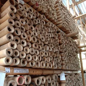 Postes de bambú Natural para construcción, 7m (sin tratamiento)