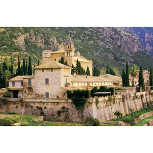 Trasferimento a Palma + Valldemossa e Sóller - Product Image 1