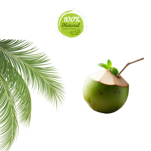 Noix de coco fraîche vietnamienne produit agricole naturellement rafraîchissant - Product Image 3