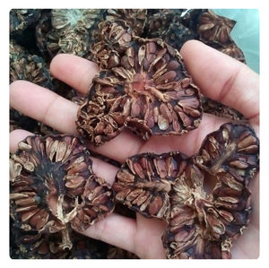 Top Export 100% Natural Organic Noni Fruit FD Secado con sabor dulce y propiedades saludables en embalaje a granel - Product Image 3