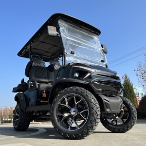 Voiturette de golf électrique de luxe 4 places, pneus 26x9-12, véhicule utilitaire tout-terrain, 30-50 km/h, poids à vide 300-400 kg - Product Image 1