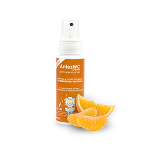 CITRUS SCENTED BEFORE YOU GO TOILET SPRAY 55 ml PREMIUM ITALIAN QUALITY