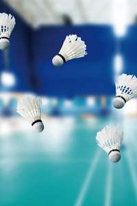 Volants de badminton professionnels personnalisés RX Sports SR24 en gros, haute qualité, durables, en plumes d'oie, écologiques, pour le sport - Product Image 5