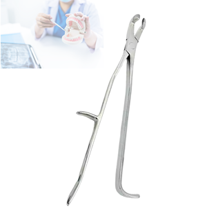 Pince dentaire vétérinaire équine professionnelle Extracteur de dents dentaires à mâchoire inférieure disponible dans toutes les tailles Instrument chirurgical dentaire - Product Image 1