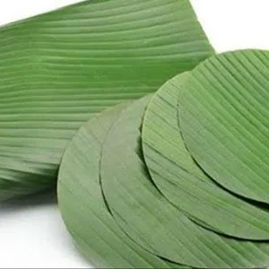 Eco-friendly packaging - Supplier banana leaf at good price