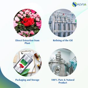 Huile d'huile de cyclamen 100% pur et naturel en gros en vrac prix le plus bas emballage personnalisé - Product Image 4