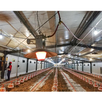 Casa de pollo con estructura de acero asequible y ventilada con marco galvanizado anidado de capas para la producción de huevos de gallinas