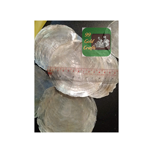 Disco de fregona de conchas marinas de belleza blanco hecho a mano, adorno portátil para decoración, manualidades, campanas de viento, cortinas - Product Image 3