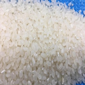 Embalaje de arroz japonés en bolsa de vacío, fabricante de arroz redondo de Tailandia, 5Kg, 100%