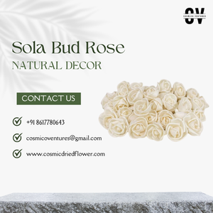 Fleur de rose en sola naturelle de qualité supérieure populaire pour les événements romantiques de mariage, la décoration de la maison et du bureau, fournisseur en gros - Product Image 4
