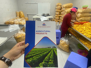 Croustillant au Vietnam Chips de jacquier Snack aux fruits secs Saveur douce naturelle Sans conservateur Snack sain à base de plantes pour l'exportation - Product Image 6