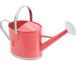 Regadera de Metal de Estilo Moderno, Diseño Artesanal en Hierro, Forma Personalizada, Artículo Decorativo - Product Image 3