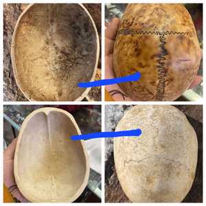 ชามเรซินเนปาลที่ทำด้วยมือที่มีคุณภาพสูงที่ได้รับการปรับแต่งเองสำหรับบ้านโรงแรมและร้านอาหารจากอินเดีย - Product Image 5